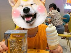 -DQ·蛋糕·冰淇淋(绿宝店)
