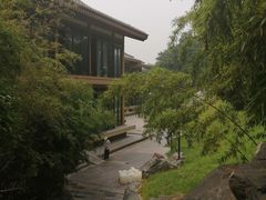 -小白鲨工夫潮膳(曲江店)