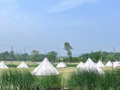 -佛手湖郊野公园