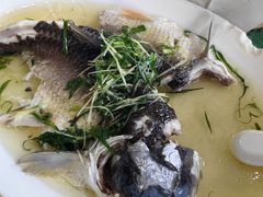-水乡人家私房菜(逢简店)