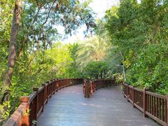 -金鸡岭桥头公园