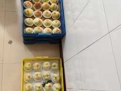 -老袁家蜜桃农场·阳山水蜜桃