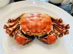 -曼格纳·曼芯馆(杨浦店)