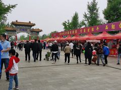 -曹州牡丹园