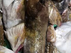 -木柴豆腐·活海鲜·鲁菜
