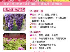 -南山植物园