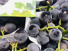 巨峰葡萄-水果天空(东葛店)