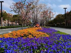 -上海交通大学医学院附属仁济医院(南院)