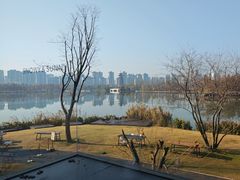 -洋湖国家湿地公园