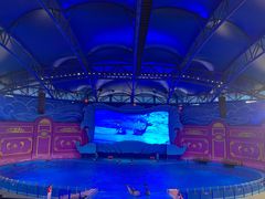 -横店影视城梦幻谷园区