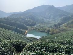 -龙坞茶村