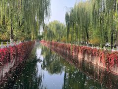 -有礼有面(知春路店)