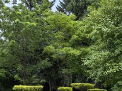 -长春市南湖公园