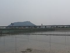 -北岐滩涂