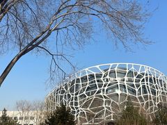 -首都医科大学附属北京天坛医院