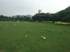-白鹭洲公园