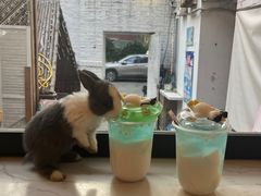 -大象厨房(重庆道店)