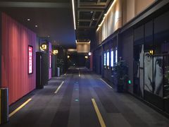 -万达影城(闵行颛桥万达广场杜比影院店)