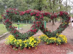 -上海共青森林公园