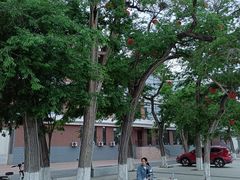 -兴城海滨风景区