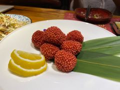 -日吉丸·鸟将军炭火融合酒馆(中央大街店)