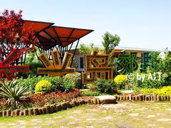 -上海长兴岛郊野公园