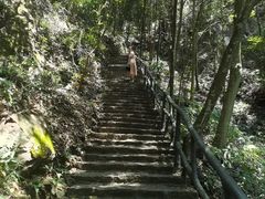 -龙湾潭国家森林公园