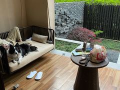-上海崇明金茂凯悦酒店