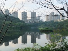-重庆彩云湖湿地公园