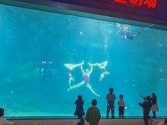 -福州罗源湾海洋世界旅游区