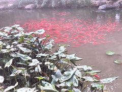 -竹泉村旅游度假区