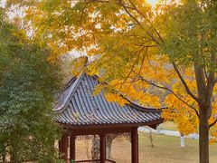 -堤角公园