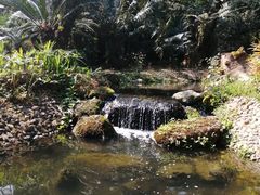 -华南国家植物园-售票处