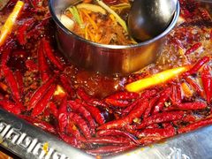 -蜀九香火锅(九眼桥店)