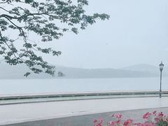 -水上明月·湖景餐厅