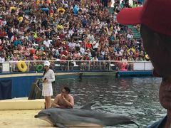 -秦皇岛乐岛海洋王国