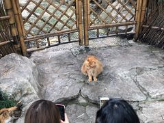 -静安公园(静安寺街道)