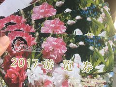 -南汇桃花村