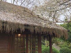 -中国茶叶博物馆(双峰馆区)