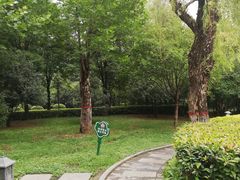 -木塔寺遗址生态公园