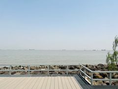 -上海吴淞炮台湾国家湿地公园