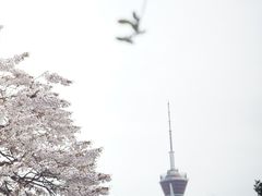 -红星桥(地铁站)
