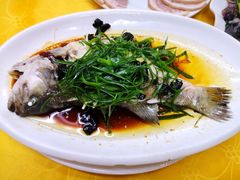 -肥姐美食(同福中路店)
