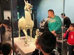 -广西壮族自治区博物馆