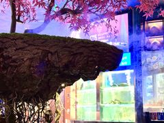 -1718海鲜姿造(苏宁宴请臻选店)