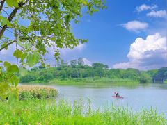 -海珠湖公园