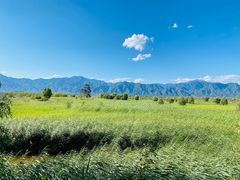 -野鸭湖国家湿地公园