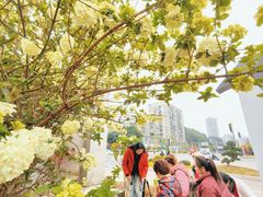 -大龙山(地铁站)