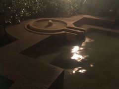 -鱼凫国都大酒店温泉