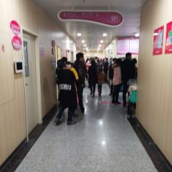 -福建省妇幼保健院(道山路院区)